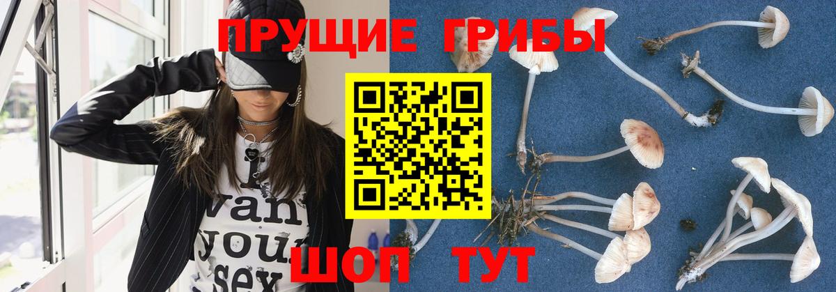 Артёмовский  купить наркотики сайты  Вход с VPN  Псилоцибиновые грибы Cubensis 